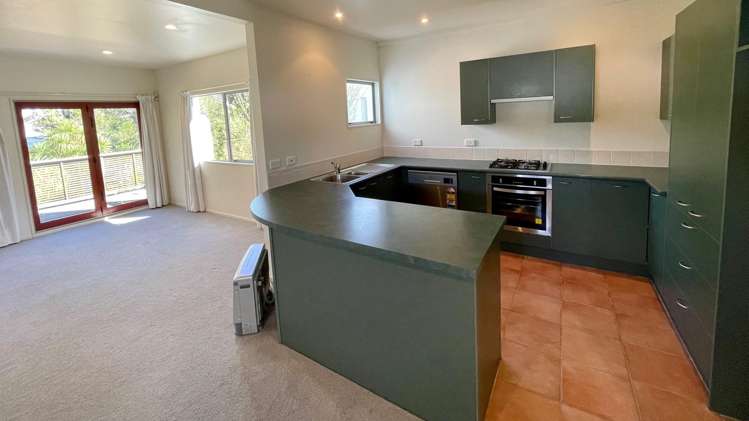 10a Park Terrace Hamilton Central_2