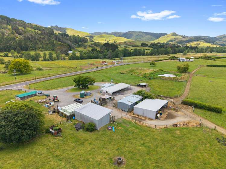 368 Waihi-Whangamata Road Waihi_7