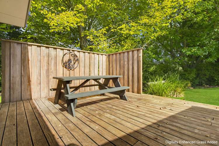 733A Bryce Road Ngakuru_16