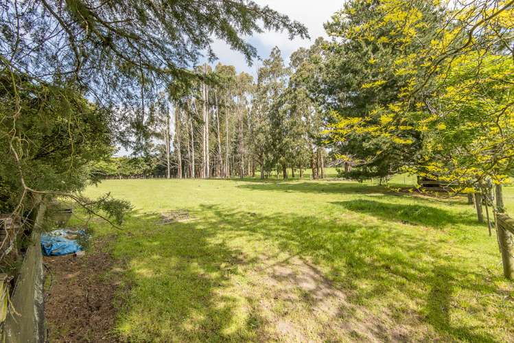 59 Marshmans Road Ashley_15