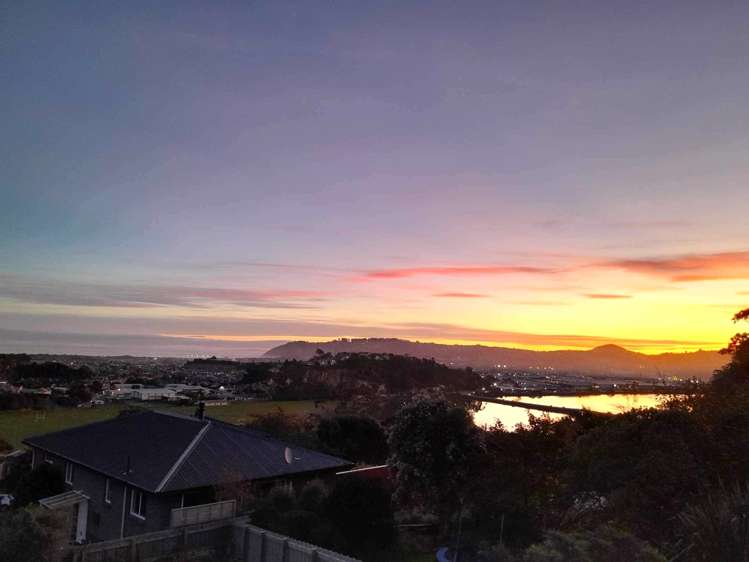 21 Belford Street Waverley_17