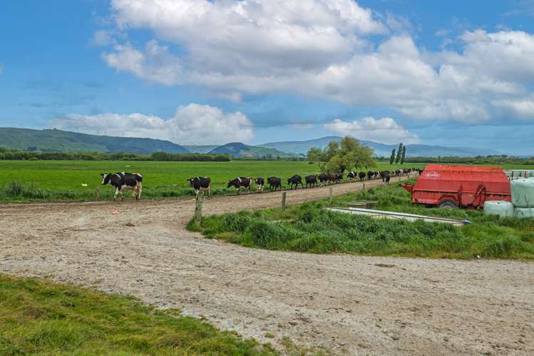 672 Ruawhata Road Pahiatua_15