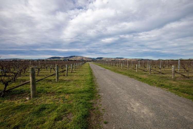 100 Georges Road Waipara_1