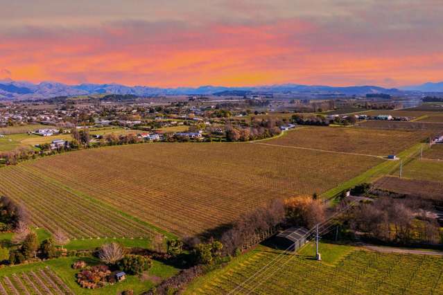 21 Blicks Road Renwick_1