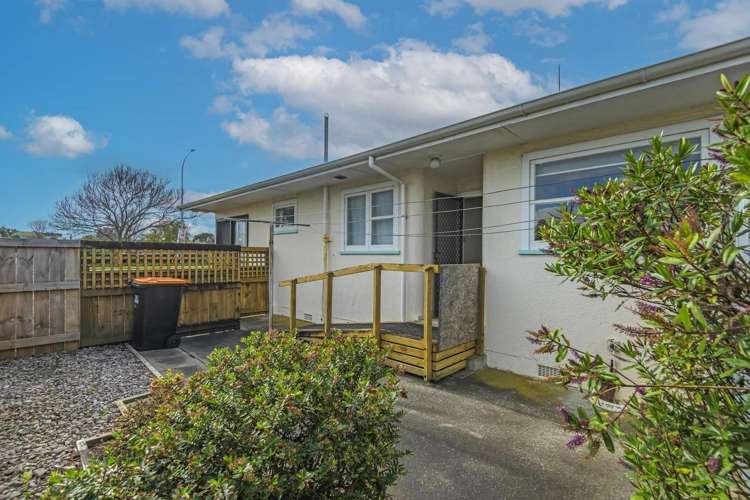  15 Kiwi Court Roslyn_5