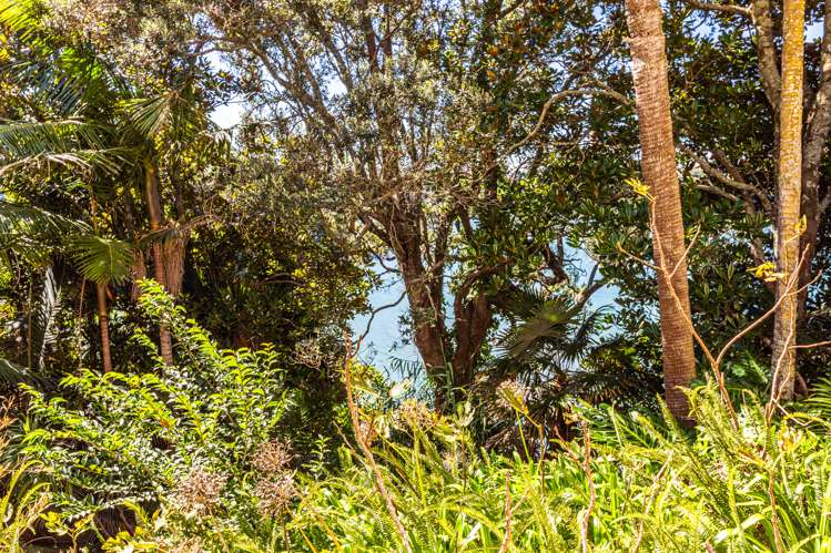 10 Awanui Street Birkenhead_14