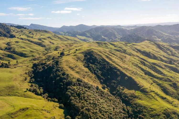 231 Leitch Road Piopio_13