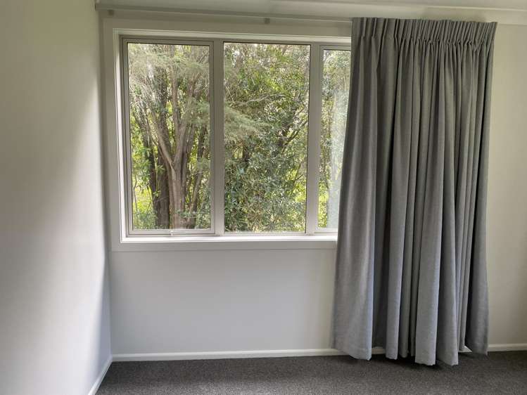 21 Wainui South Road Whakamarama_10