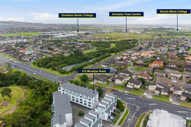 313 Murphys Road Flat Bush_14