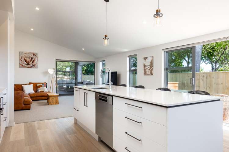 278a Scott Street Witherlea_8