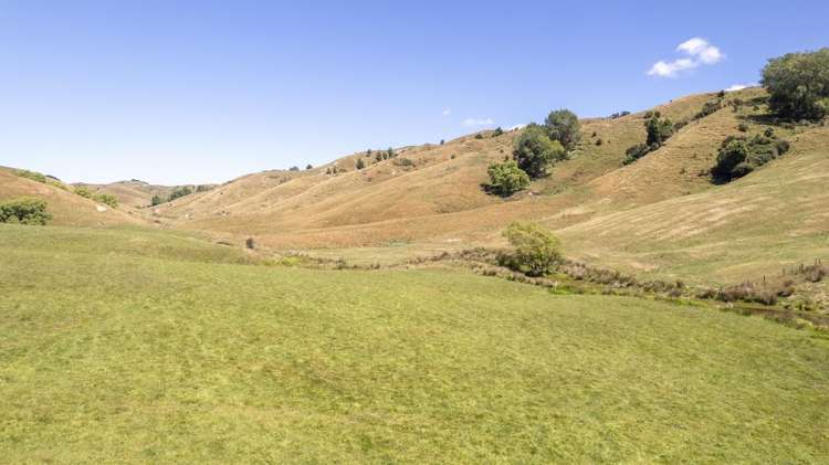 247 South Road, Mauriceville Masterton_2