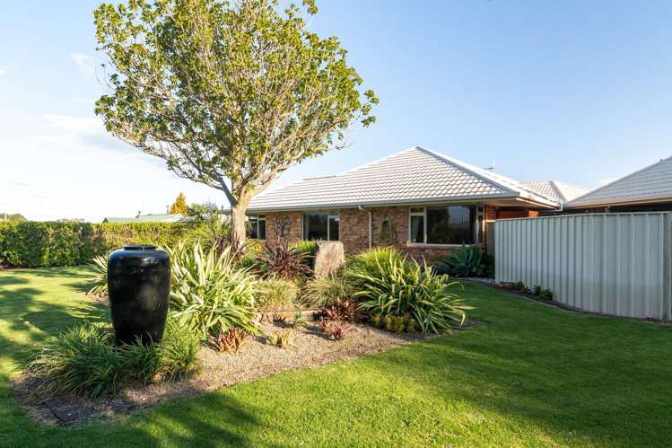 100A Park Road Katikati_40