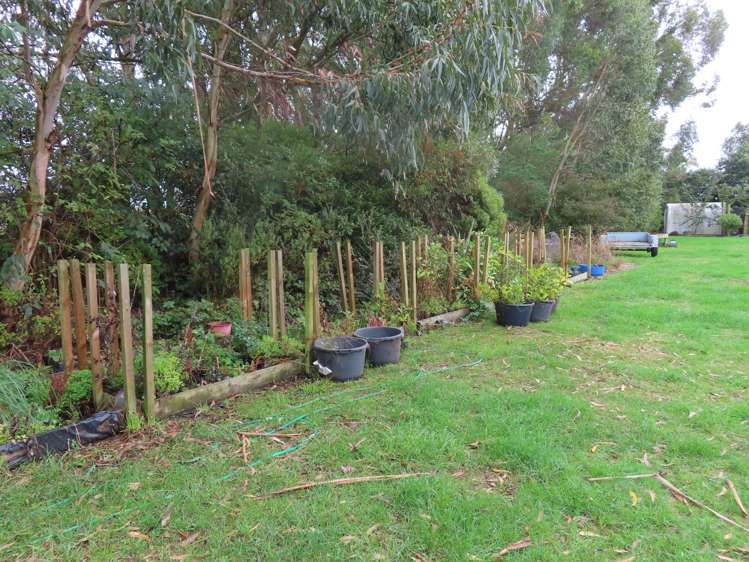 25 Beckett Lane Dannevirke_18