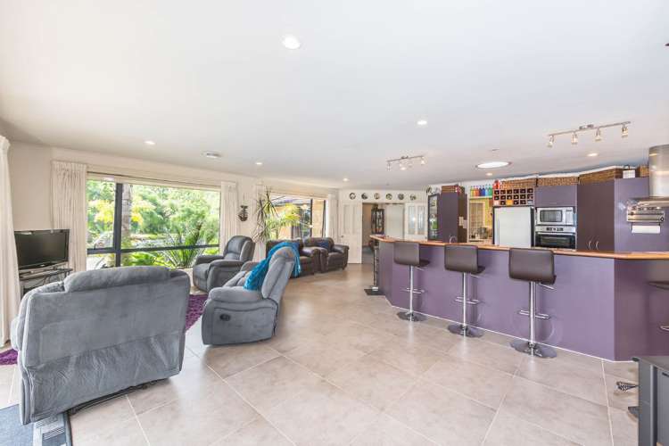39 Postman Road Dairy Flat_11