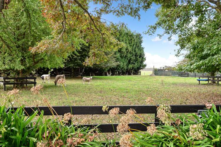 280 Greenhill Road Puketaha_18