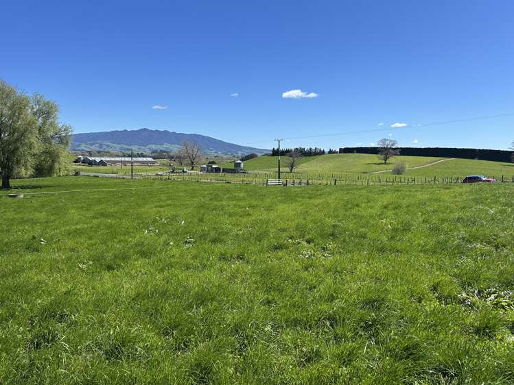 162 Bowman Road Te Awamutu_11