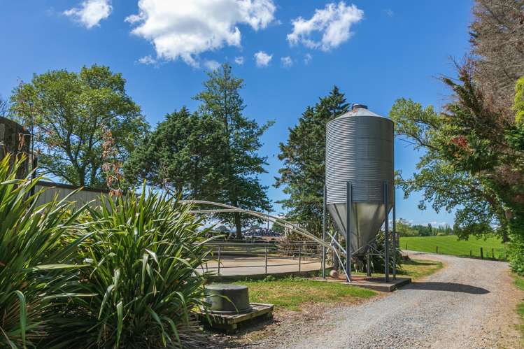 774 Buckland Road Matamata_10