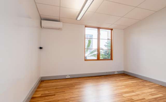 63 Ponsonby Road Grey Lynn_3