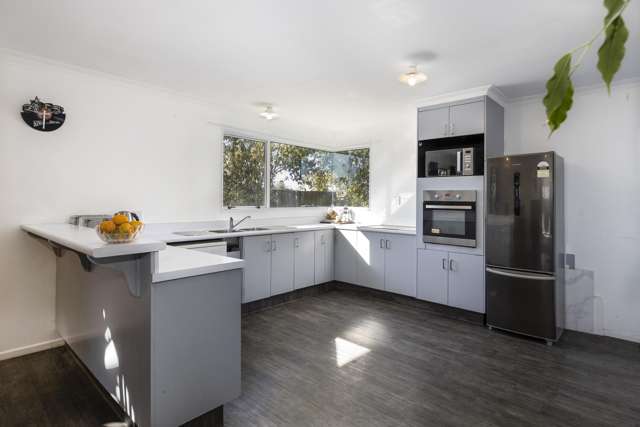 28D Meehan Street Blenheim_4