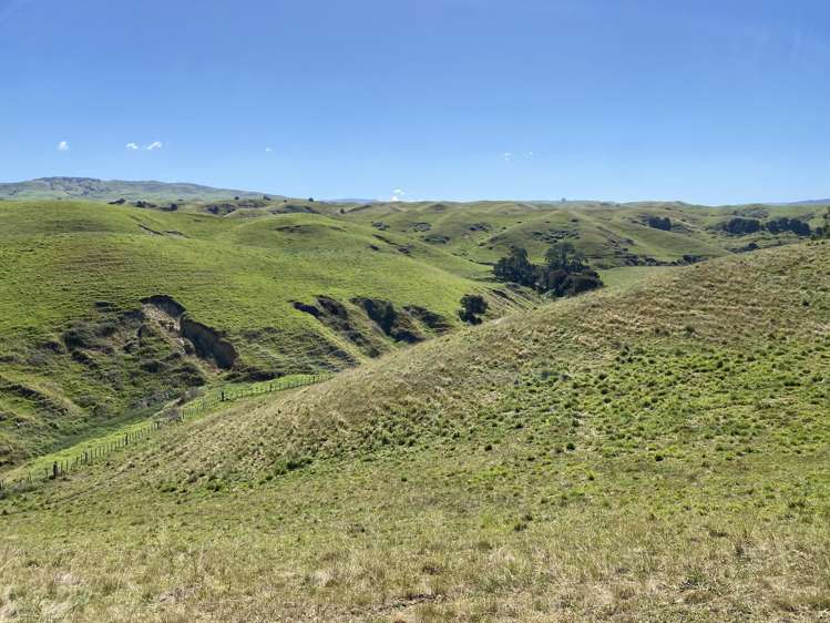 Lot 2, DP 566738, Kawera Road Hastings_7