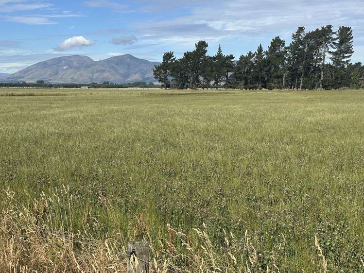 1000 Mossburn Lumsden Highway Mossburn_7