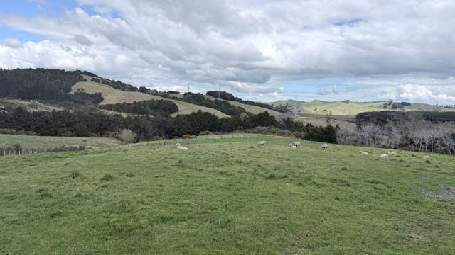 54A Ross Road Topuni_4