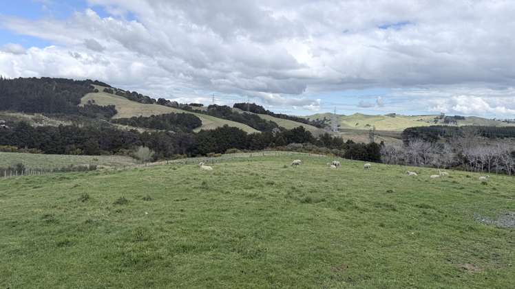 54A Ross Road Topuni_4