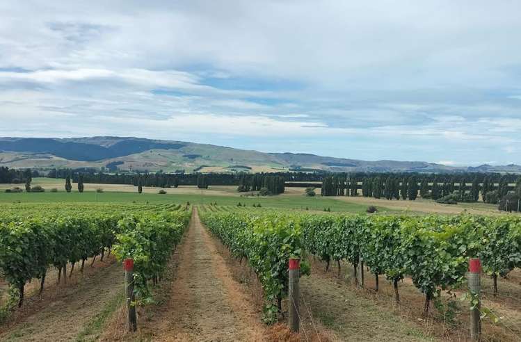 337 Mackenzies Road Waipara_15