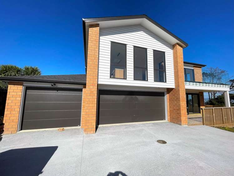 36 Pitt Avenue Clendon Park_0