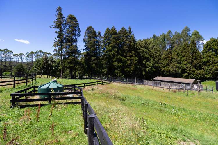 195 Jackson Road Hamurana_29