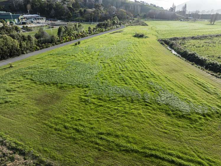 342 Hill Road Eskdale_12