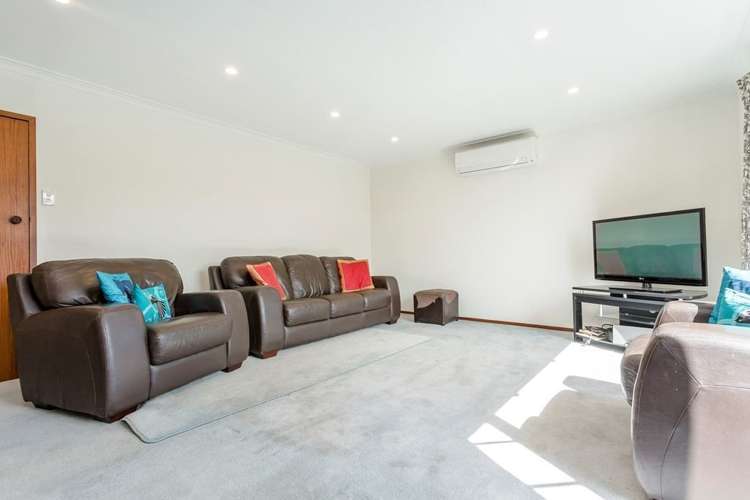 18a Ings Avenue Saint Clair_7