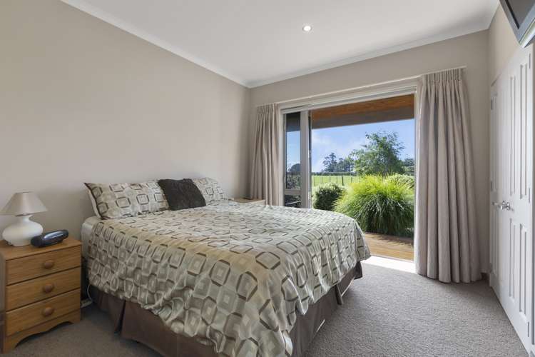 8 Pitt Road Hillsborough_15