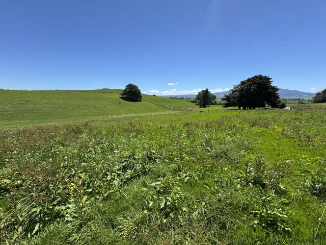 Lot 1 Pokuru Road Rd 3 Te Awamutu_3