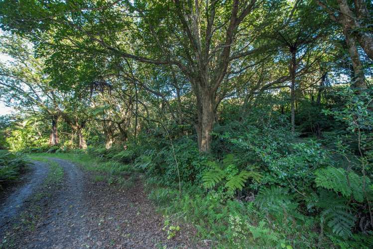 851 Wright Road Aongatete_15