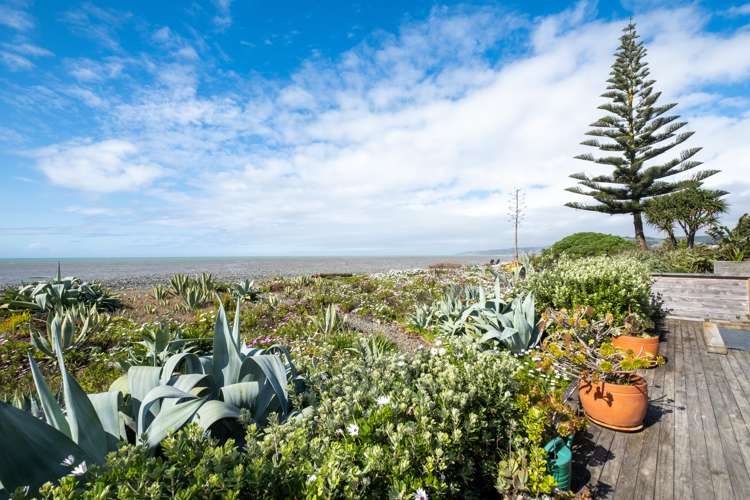 225 Clifton Road Te Awanga_21