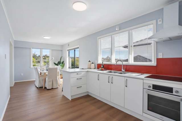 93 Webster Avenue Mt Roskill_3