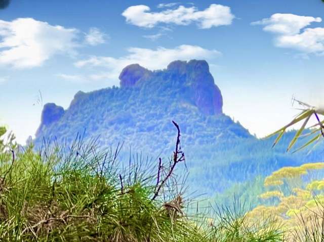 694 The 309 Road, Waiau Coromandel_4