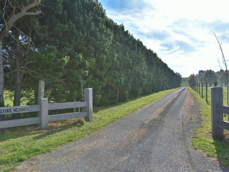 836 Oxford Road Fernside_9