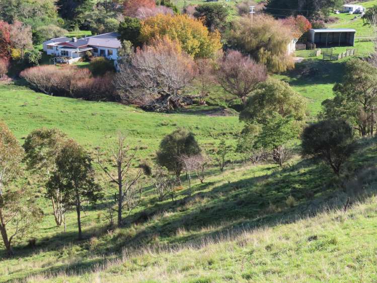 54 Tuturewa Road Dannevirke_3