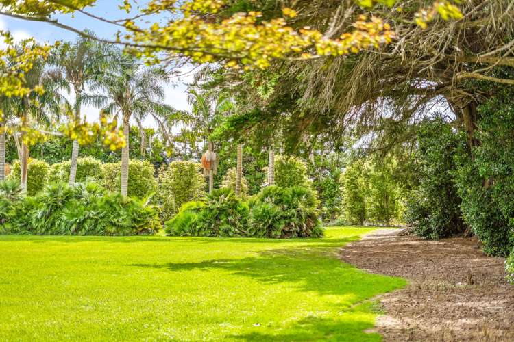 244 Omaha Flats Road Tawharanui Peninsula_21