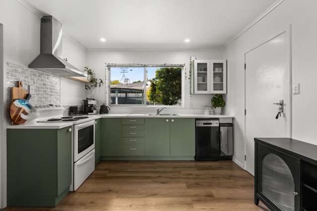 56 Rochester Street Tamatea_2