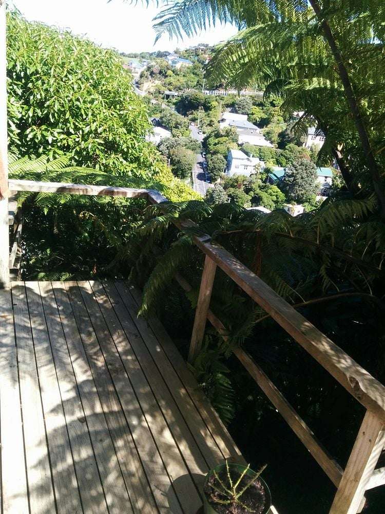 6A Semeloff Terrace Aro Valley_7