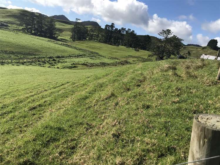 1317 Oruru Road Peria_15