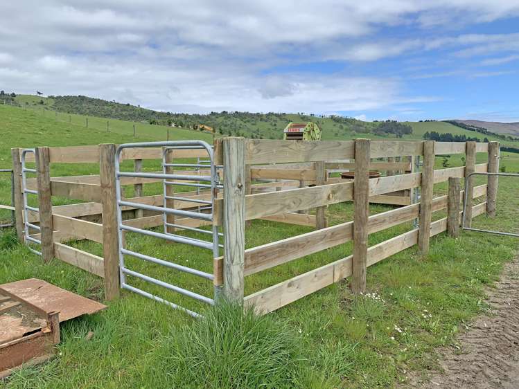 2035 Hillfoot Road Catlins Surrounds_16