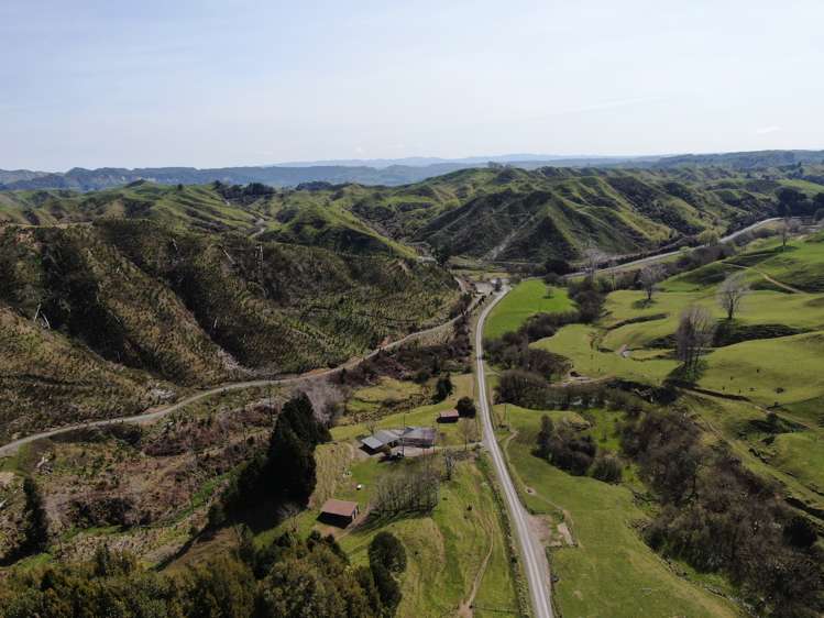 40 Takiri Road Aria_5