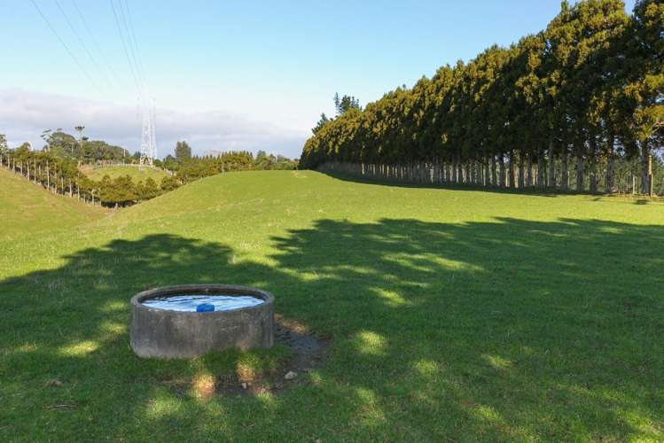 574 Mangorei Road Mangorei_6