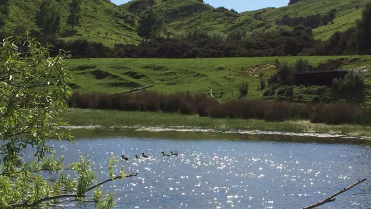 460 Tora Road Tora_13