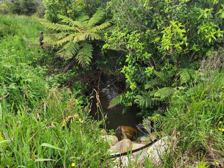 1320A Fairdown Road, State Highway 67 Waimangaroa_9