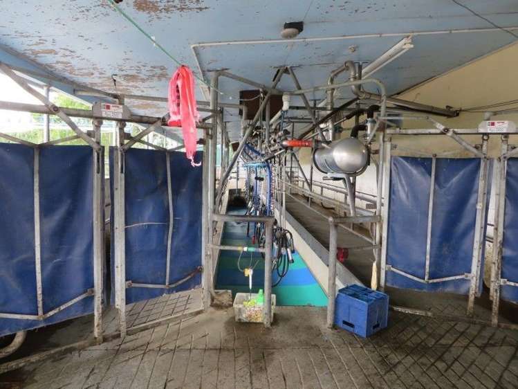 141 Drain Road Leeston_7